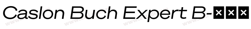 Caslon Buch Expert B字体转换